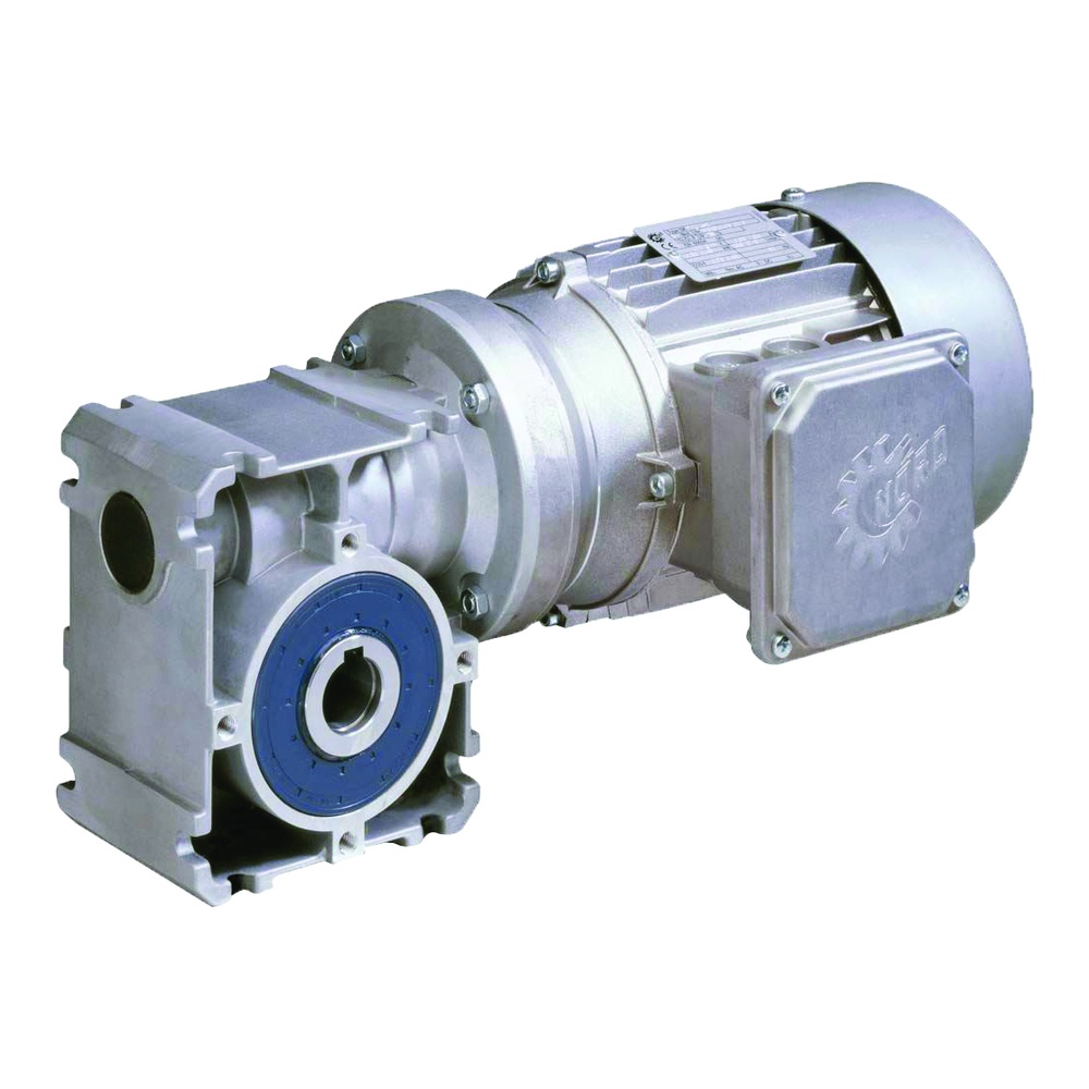 Danelik Redüktörlü Motoru